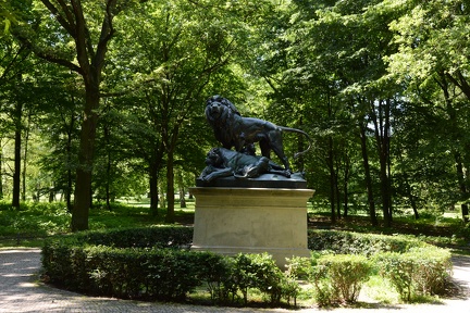 Tiergarten Lion1